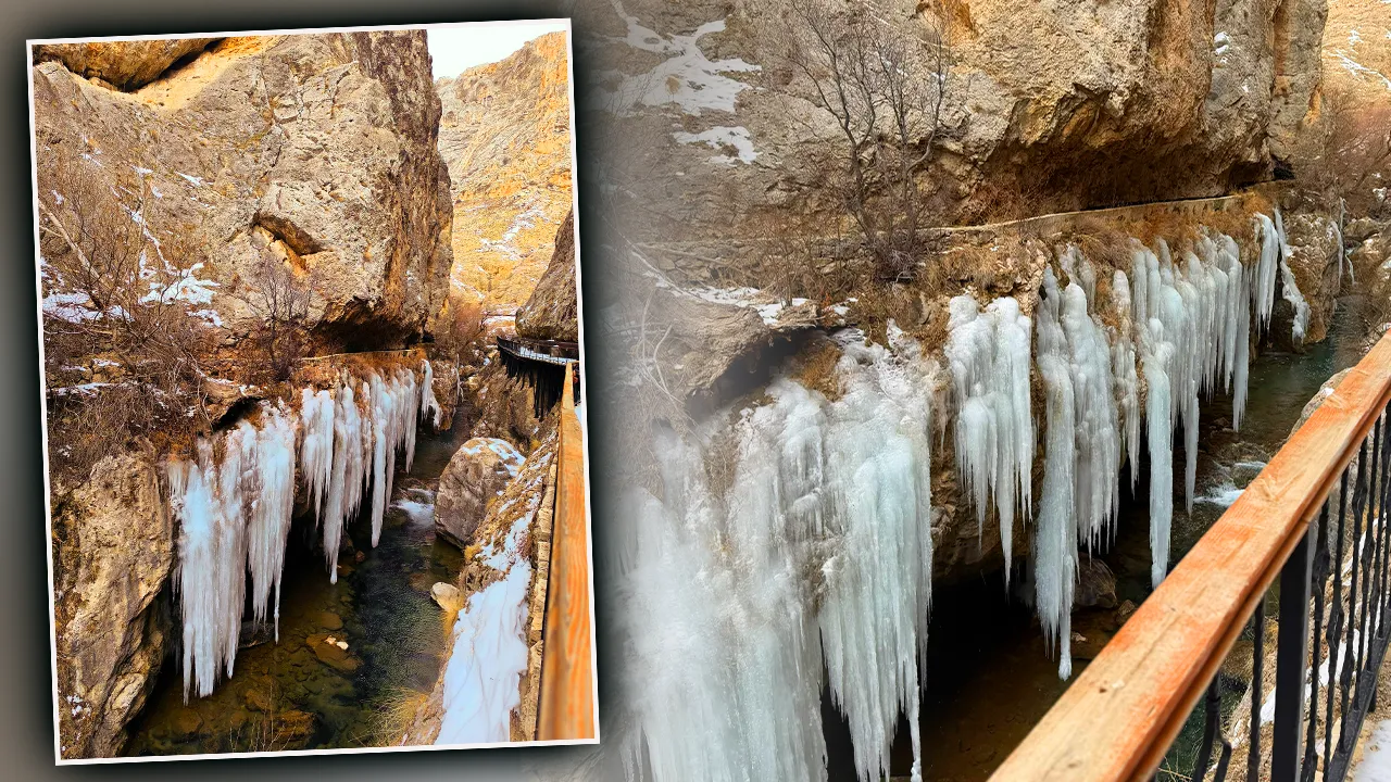  Sivas’ta bir ilk! Binlerce yıllık kanyonda şaşırtan manzara, boyu 5 metreye yaklaştı