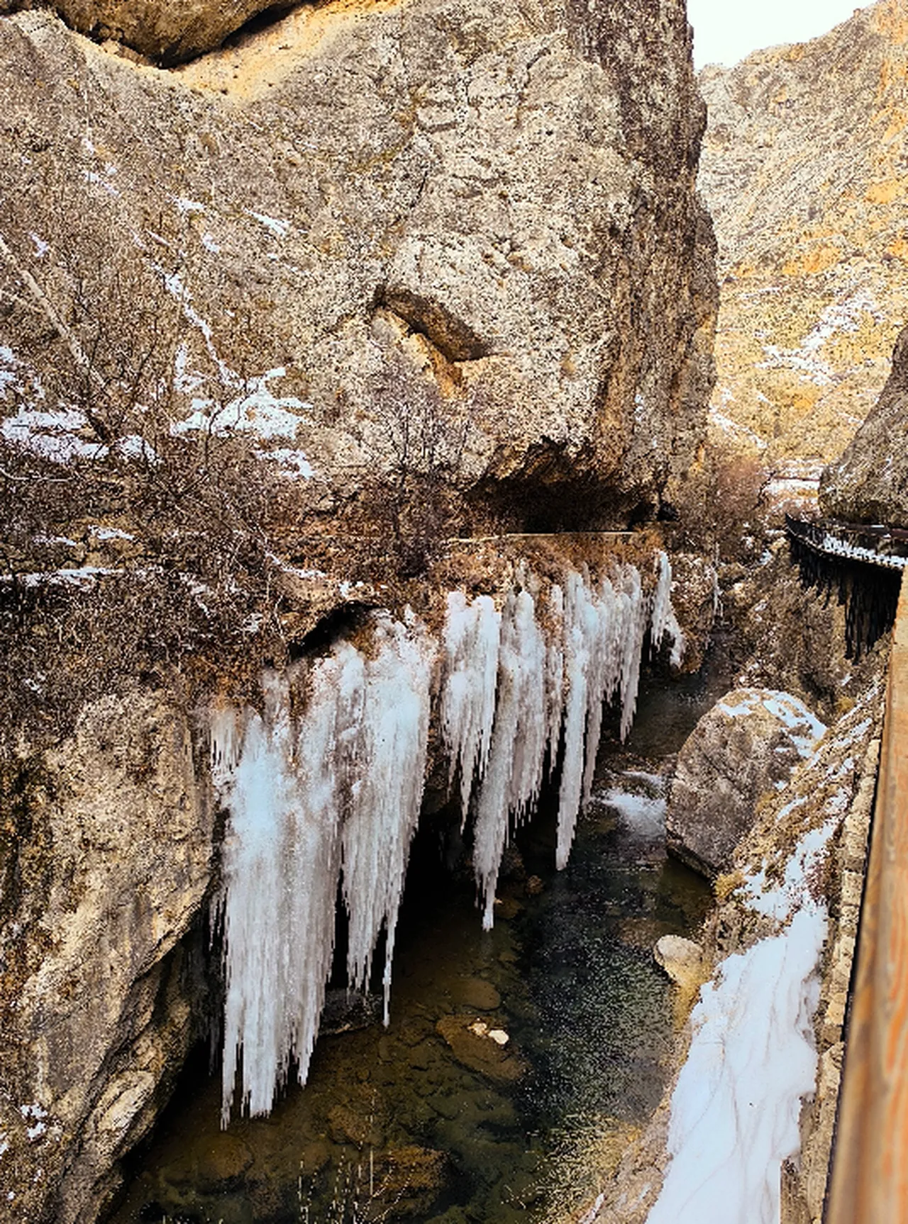 Sivas’ta bir ilk! Binlerce yıllık kanyonda şaşırtan manzara, boyu 5 metreye yaklaştı