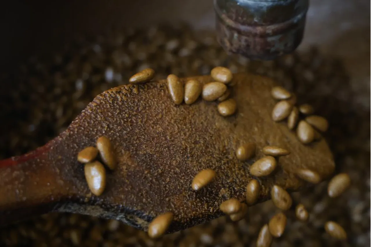 Tadına bakan müdavimi oluyor! İlk defa birleştirildi, favoriler arasına girdi