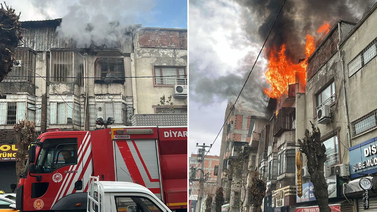 Türkiye'de bir ilke imza atılmıştı! Çıkan yangında 100'den fazla kuş telef oldu