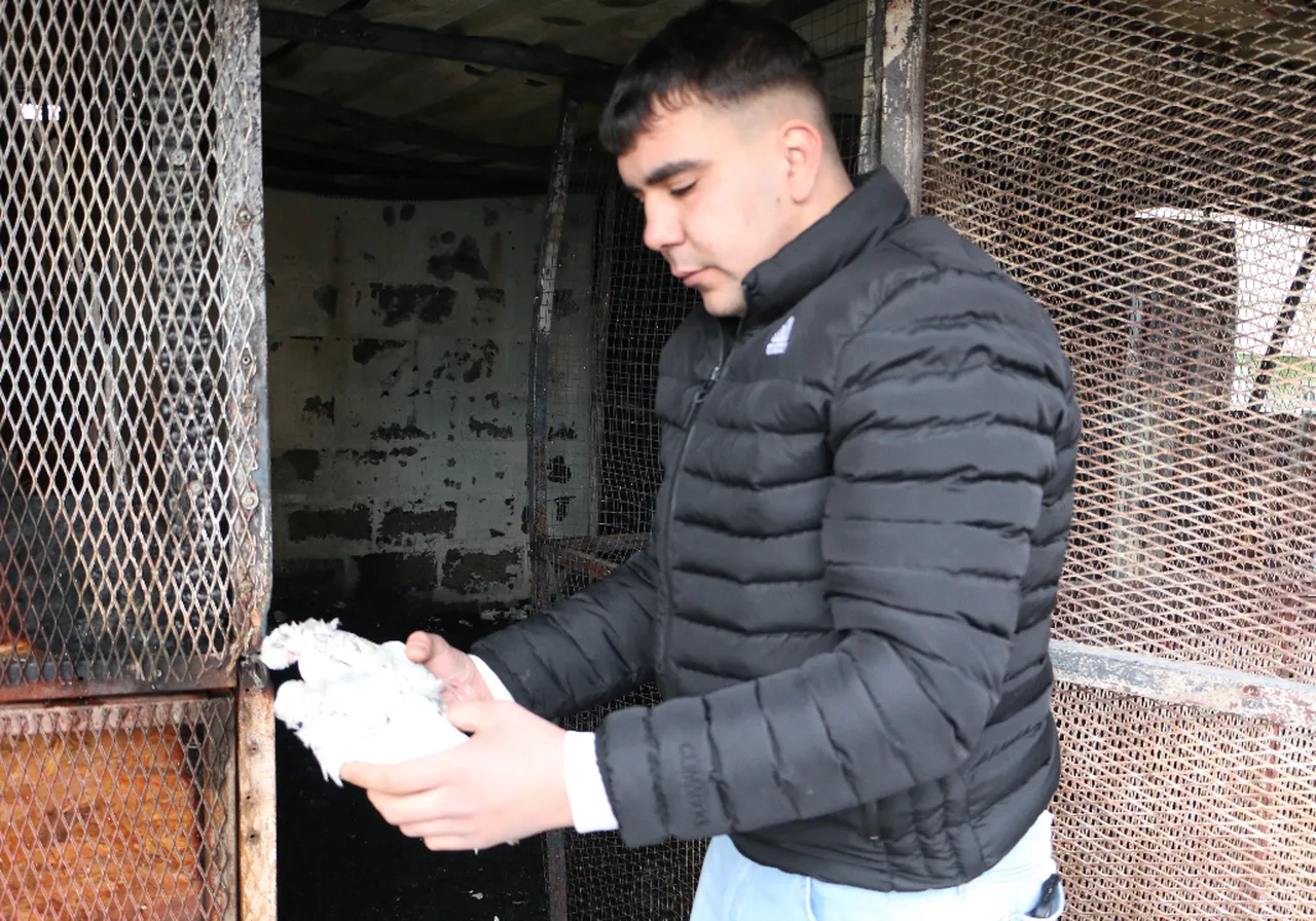 Türkiyede bir ilke imza atılmıştı! Çıkan yangında 100den fazla kuş telef oldu