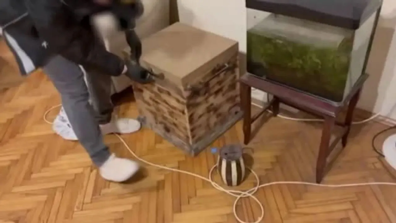 Uyuşturucu kuryesi avukat çıktı! Soruşturmada 4 tutuklama