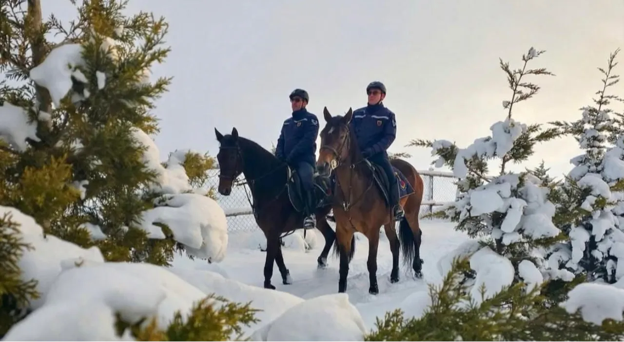 Atlı jandarma kış nöbetinde