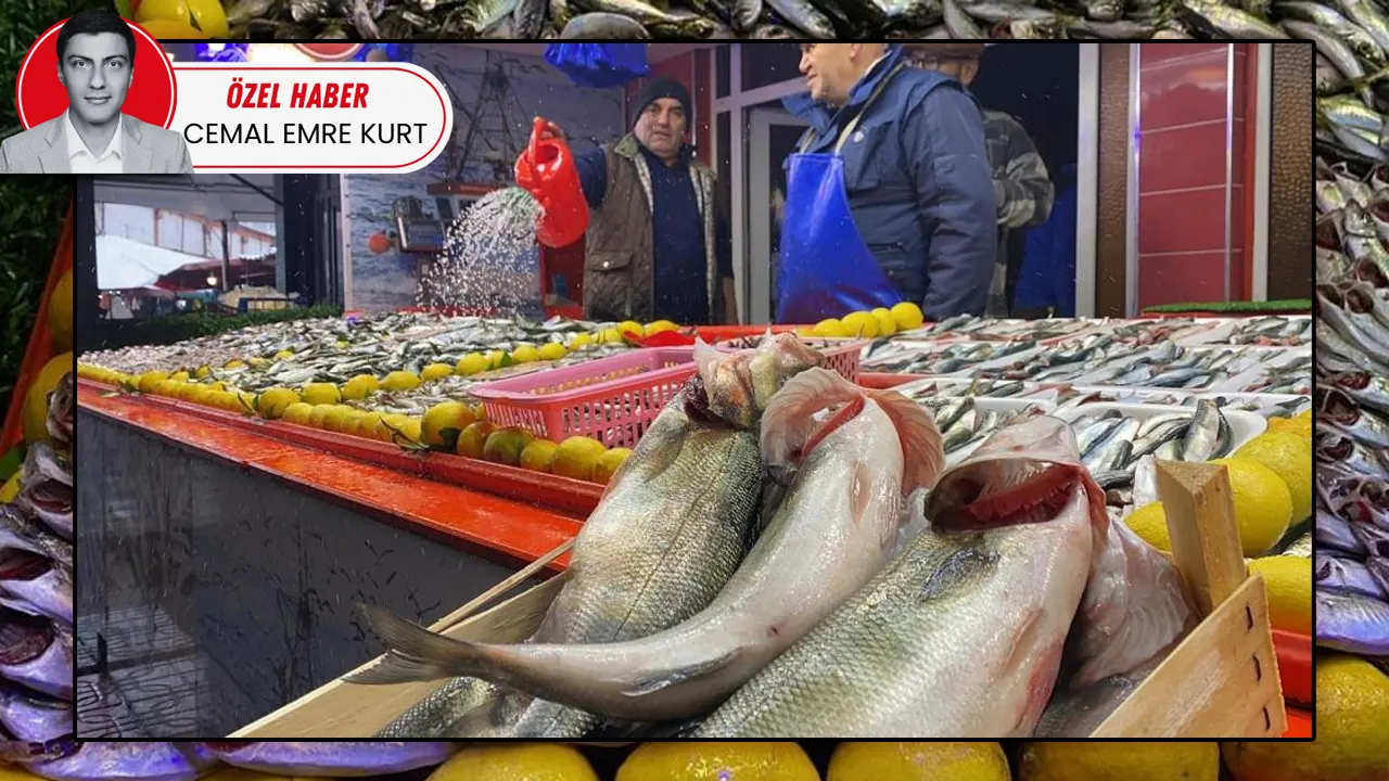 Sezon erken bitti: Hamsi kaçtı, tekneler limana geri döndü