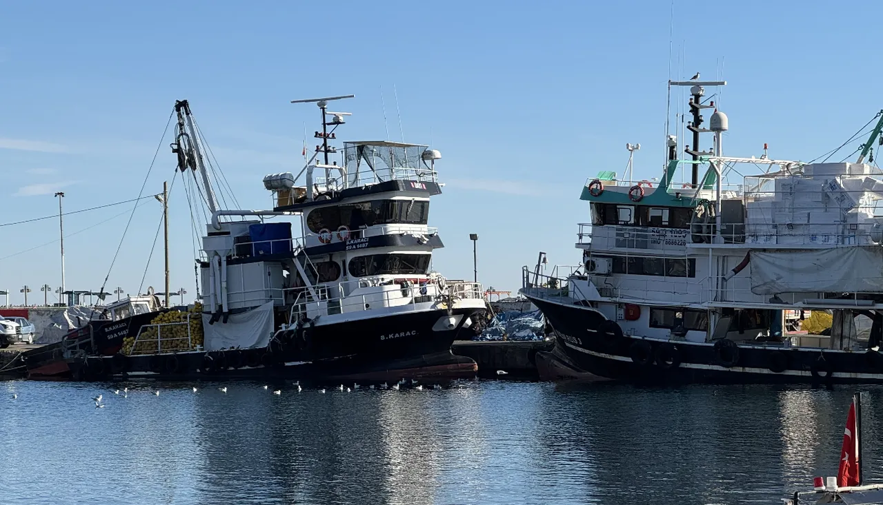 Sezon erken bitti: Hamsi kaçtı, tekneler limana geri döndü