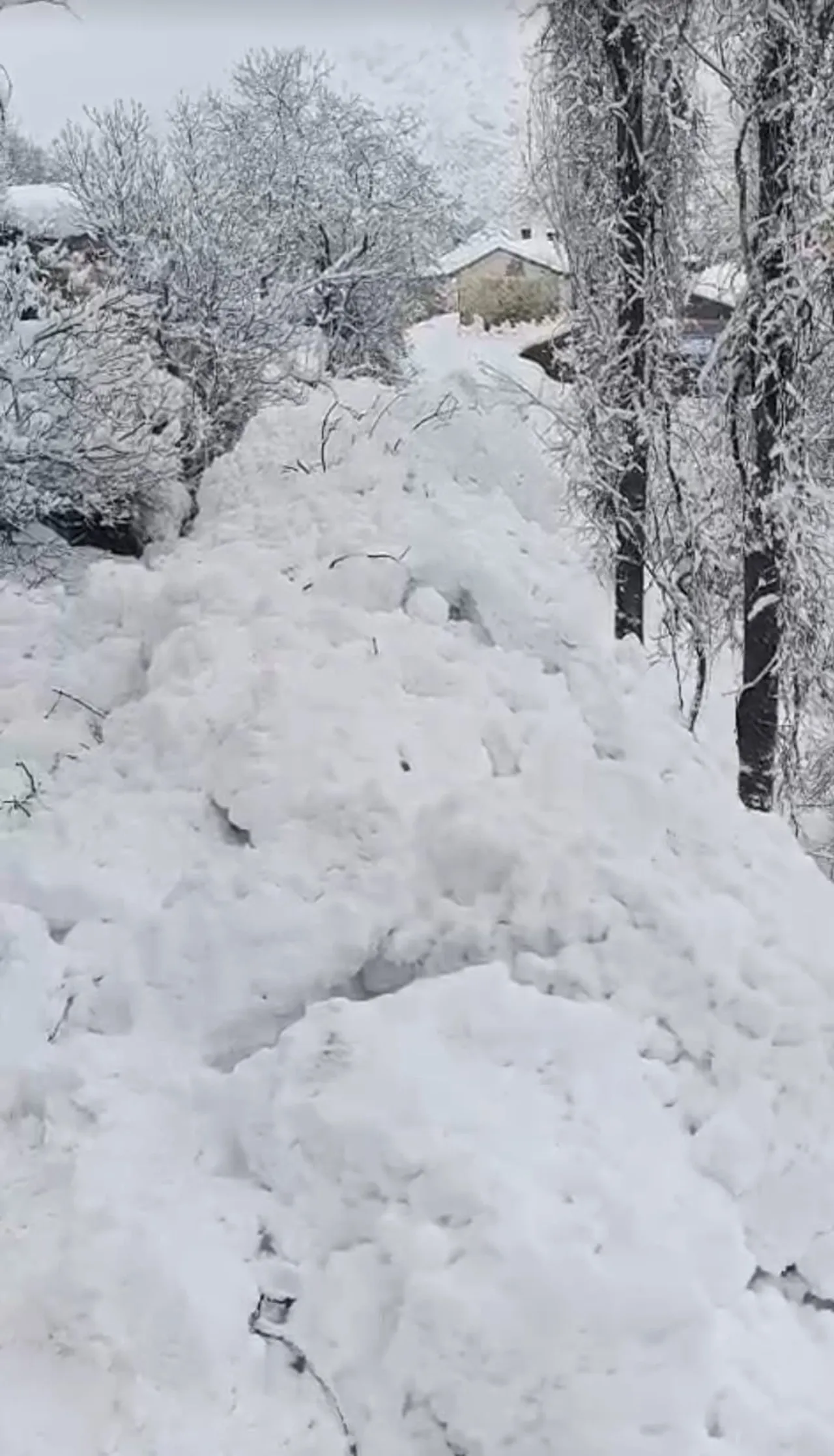 1 aydır aralıksız kar yağan ilde bir haftada ikinci çığ felaketi