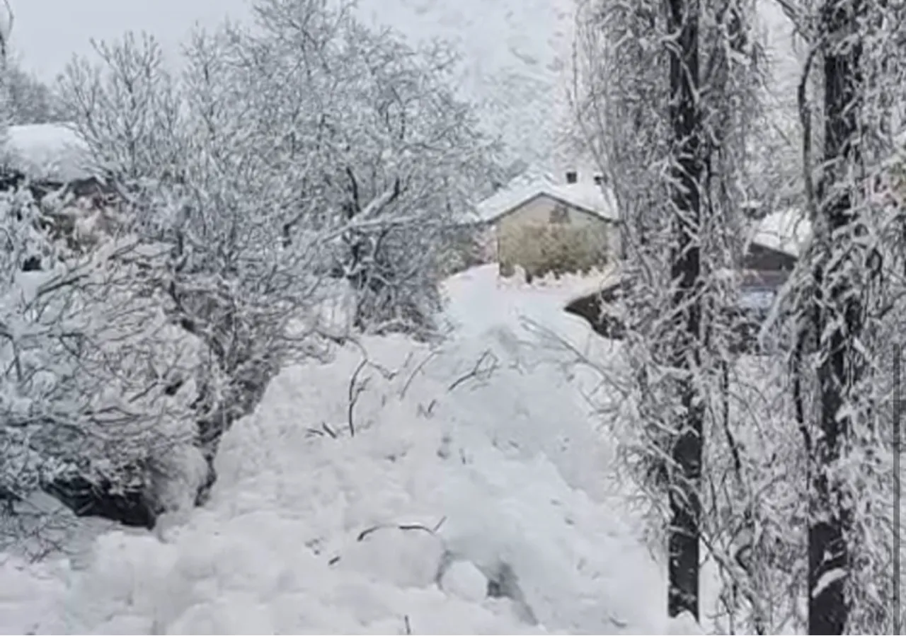 1 aydır aralıksız kar yağan ilde bir haftada ikinci çığ felaketi