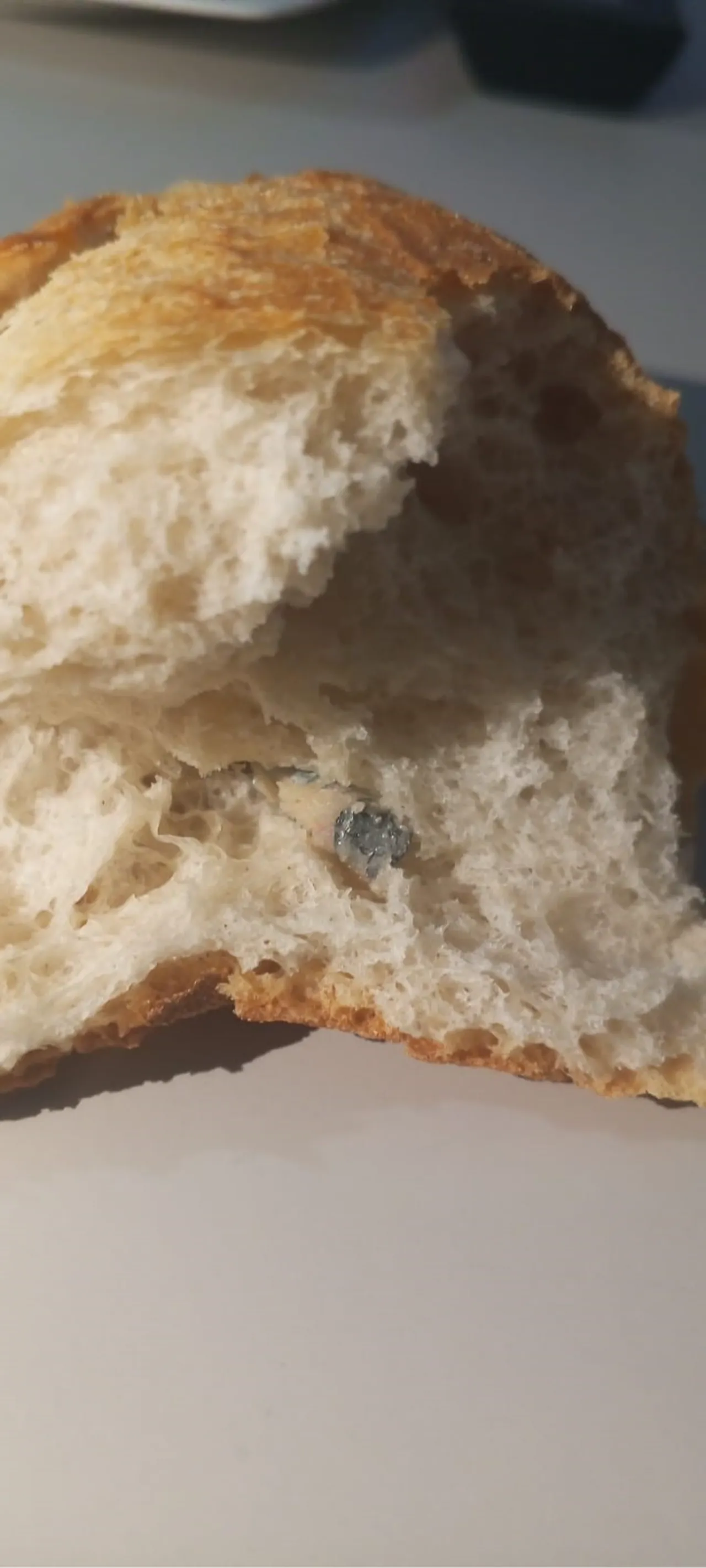 Ekmeğin içinden çıkan şoke etti: Fark etmesek boğazımıza kaçacaktı