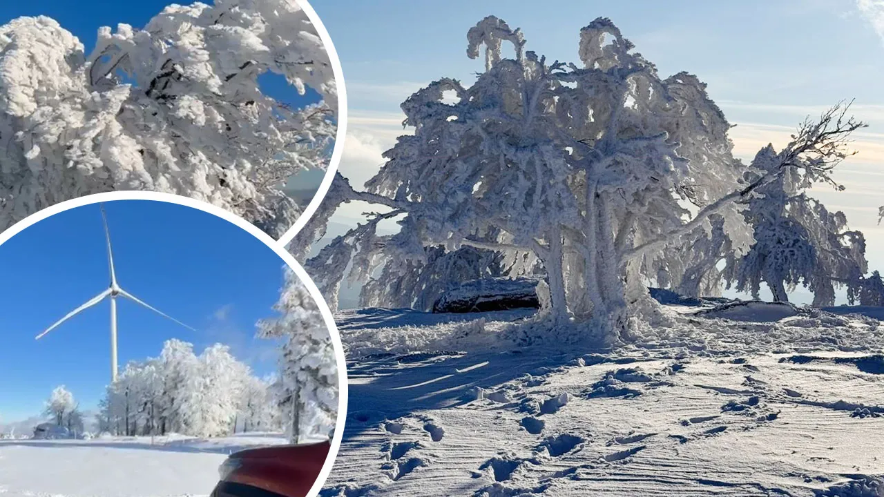 Sibirya değil Çataldağ! Görenleri mest etti