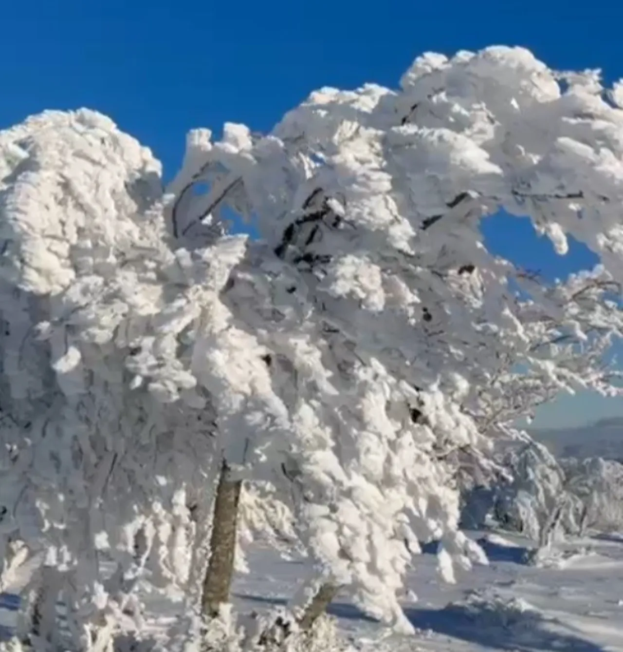 Sibirya değil Çataldağ! Görenleri mest etti
