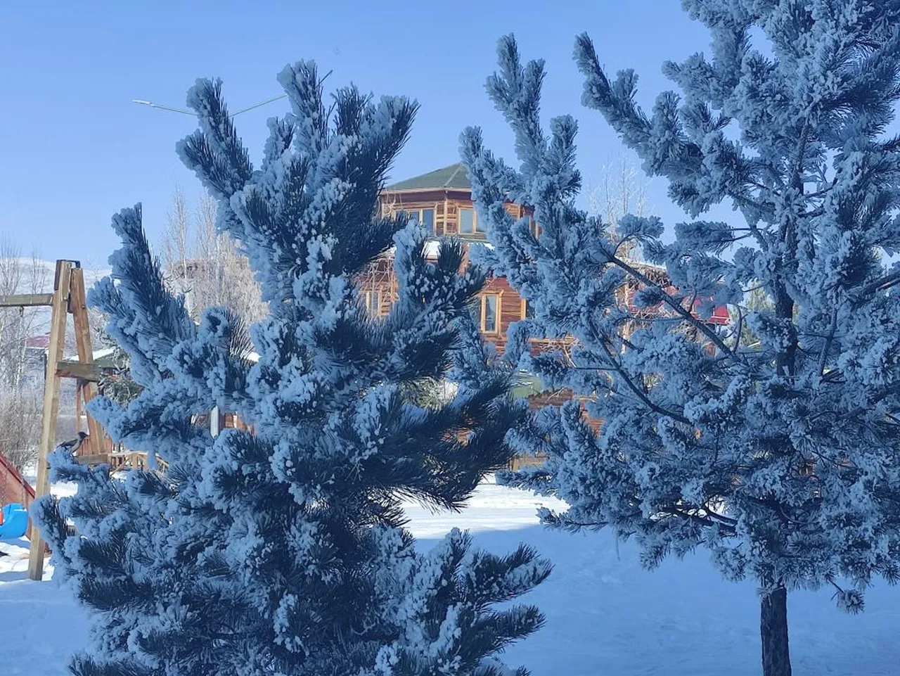Ardahan buz tuttu! Kat kat giyinen halk 'Güneş açsın' diye dua etti