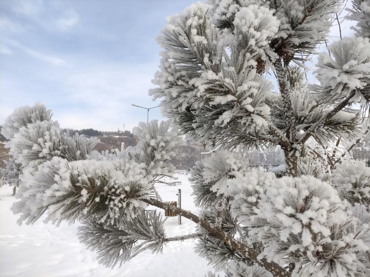 Ardahan buz tuttu! Kat kat giyinen halk 'Güneş açsın' diye dua etti
