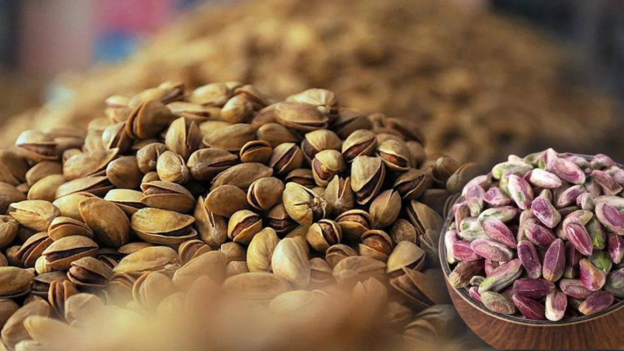  Binlerce ailenin geçim kaynağı! Kar bastırınca sektör umutlandı, en çok İtalyanlar alıyor