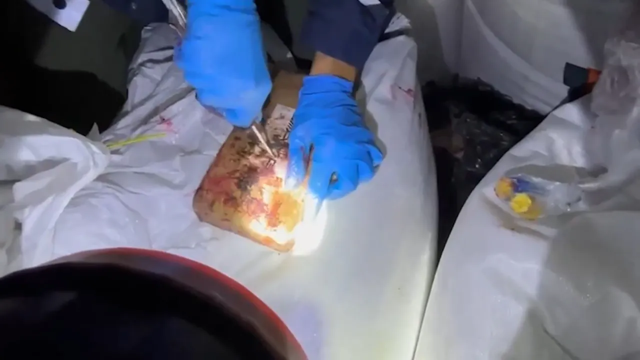 Mersin limanında 298 kilogram kokain ele geçirildi