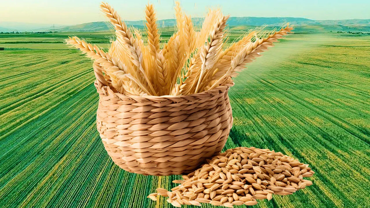 Türkiye’nin 2026 yatırım planı belli oldu: Trilyonluk tablo ortaya çıktı!