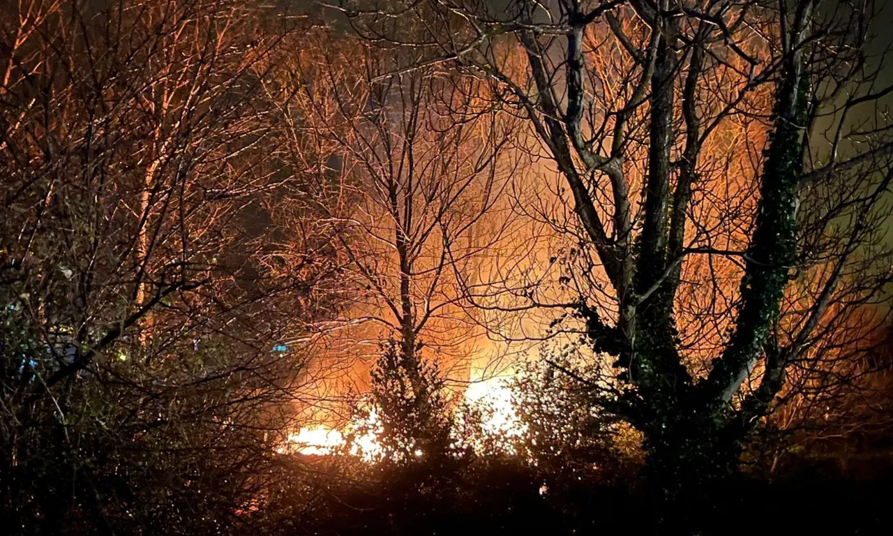 Filyos’ta korkutan yangın! Alevler kontrol altına alındı