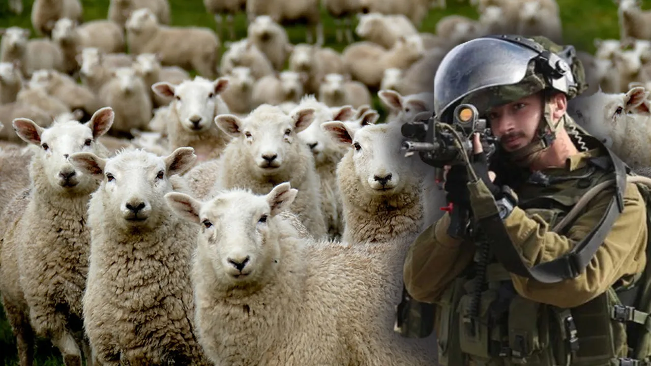 İsrail askerleri Suriye'den 250 keçi çaldı! Takım komutanı görevden alındı