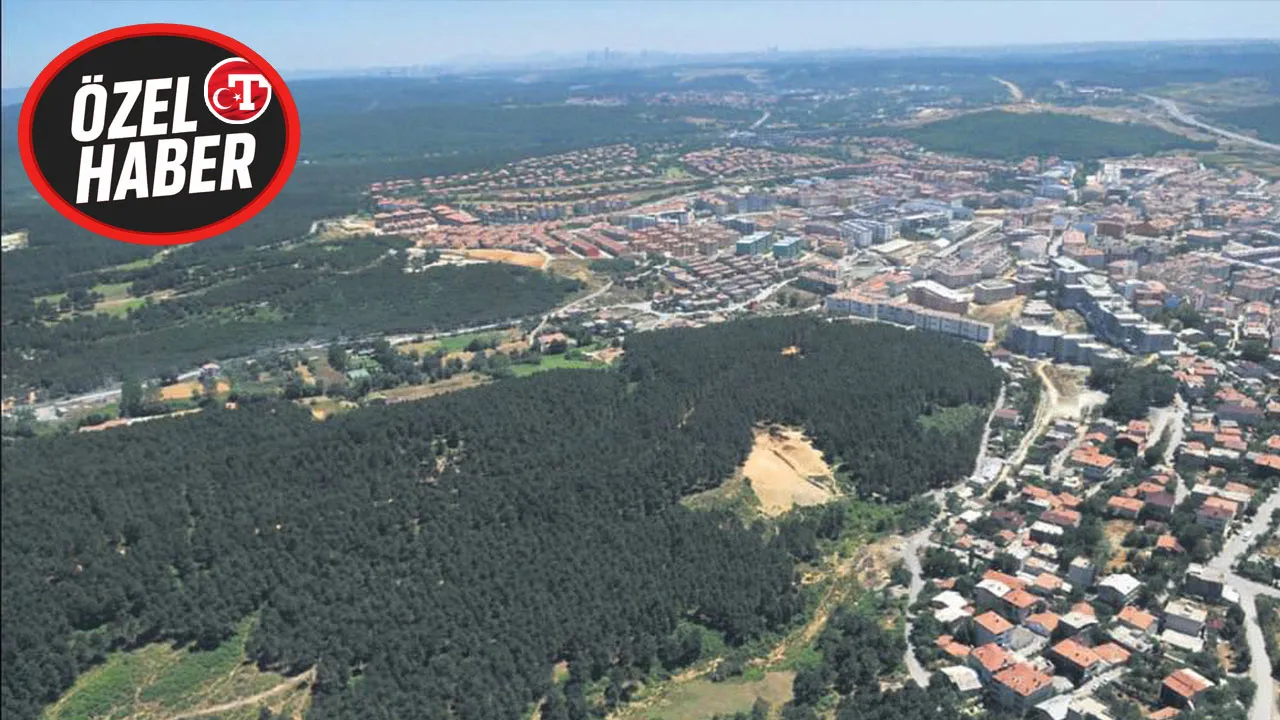 102 bin vatandaşa tapu fırsatı! 2B arazileri yeniden satışa çıkıyor