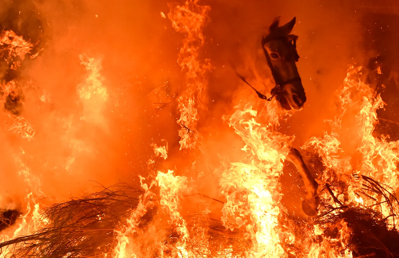 18. yüzyıldan kalma gelenek! Atlar ateşin üzerinden atladı, 550 nüfuslu köye binlerce kişi akın etti