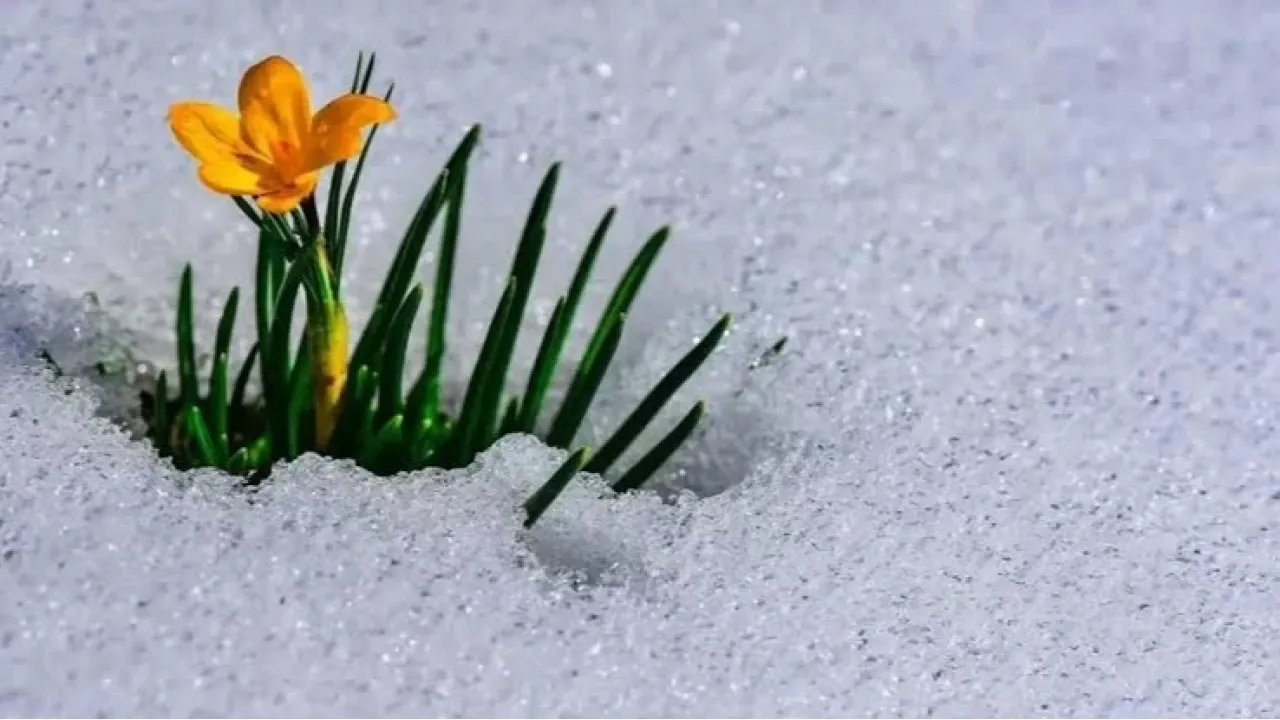 Zemheri ne zaman bitiyor, havalar ne zaman ısınmaya başlar? İlk cemre Şubat ayında düşecek!