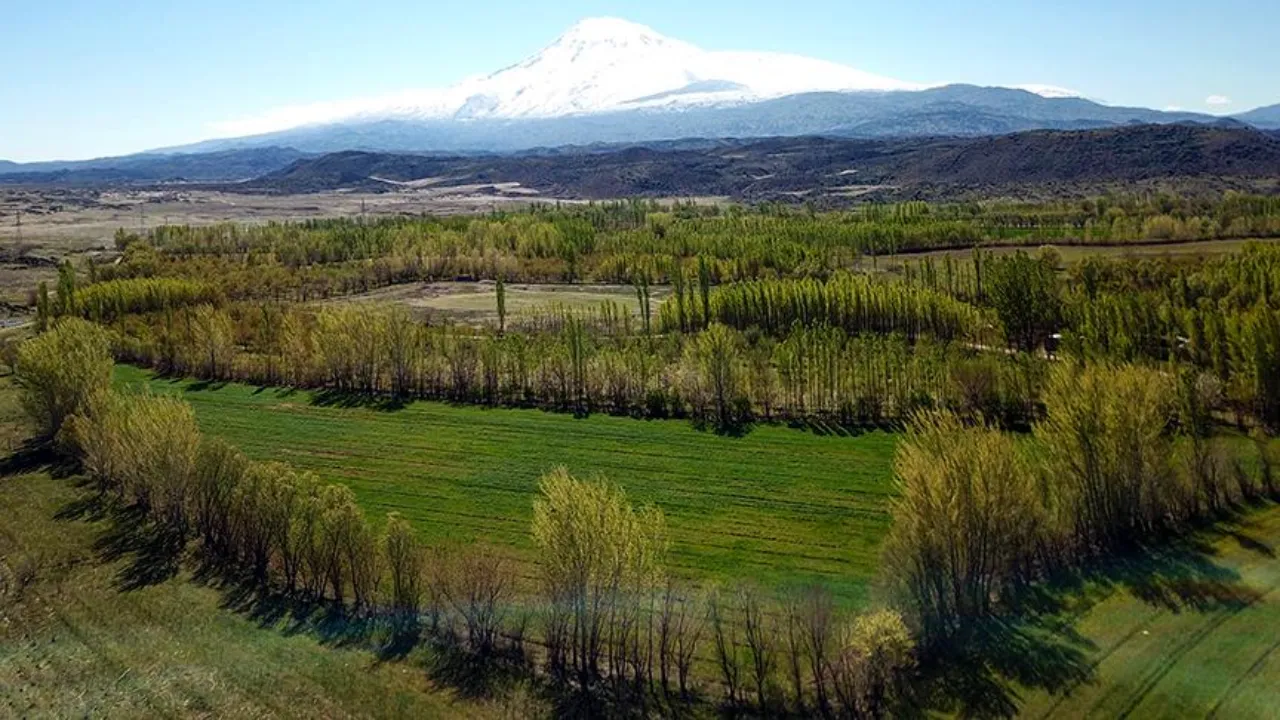 2B arazi düzenlemesinin ayrıntıları! 2B arazisi nedir, nasıl tescillenir?