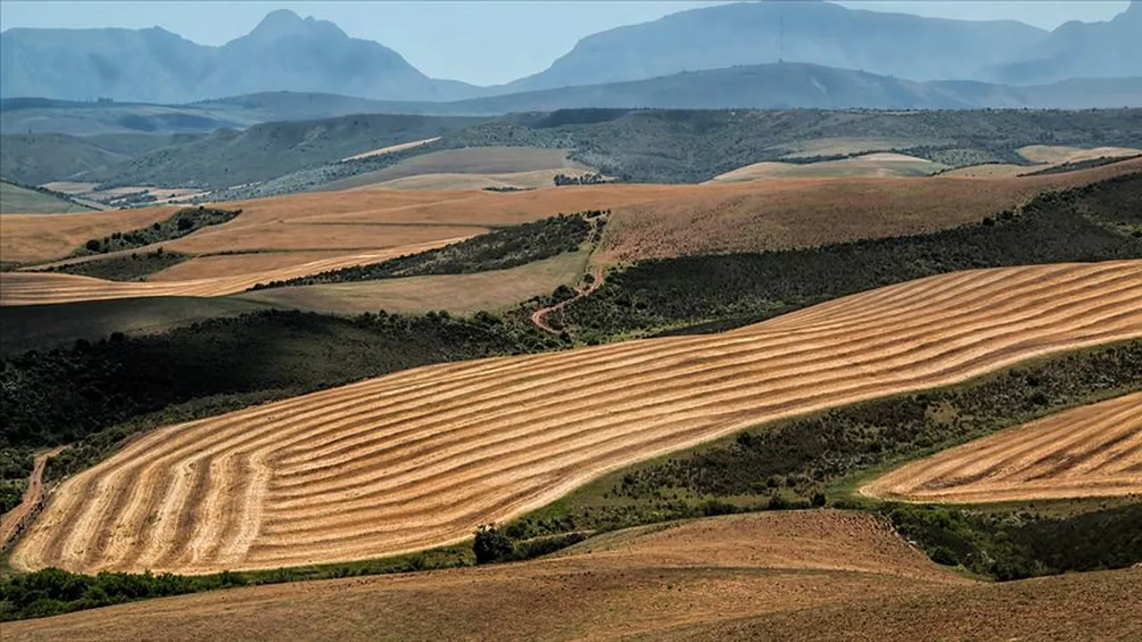 2B arazi düzenlemesinin ayrıntıları! 2B arazisi nedir, nasıl tescillenir?
