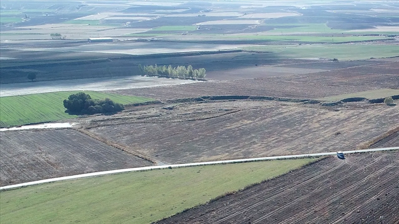 2B arazi düzenlemesinin ayrıntıları! 2B arazisi nedir, nasıl tescillenir?