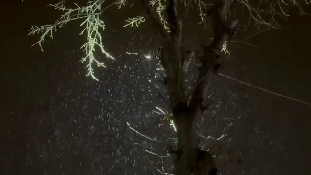 İstanbul'da kar başladı! İşte yağış alan ilçeler