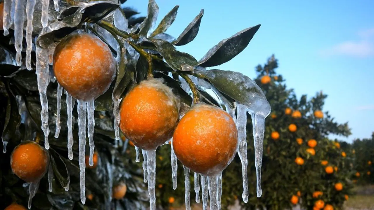 Meteoroloji'den Adana için kritik uyarı! Hepsi risk altında