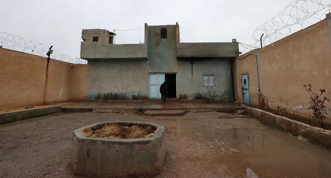 Kaçarken esirleri öldürmüşler! Zor durumdaki terör örgütü YPG'den kanlı infaz