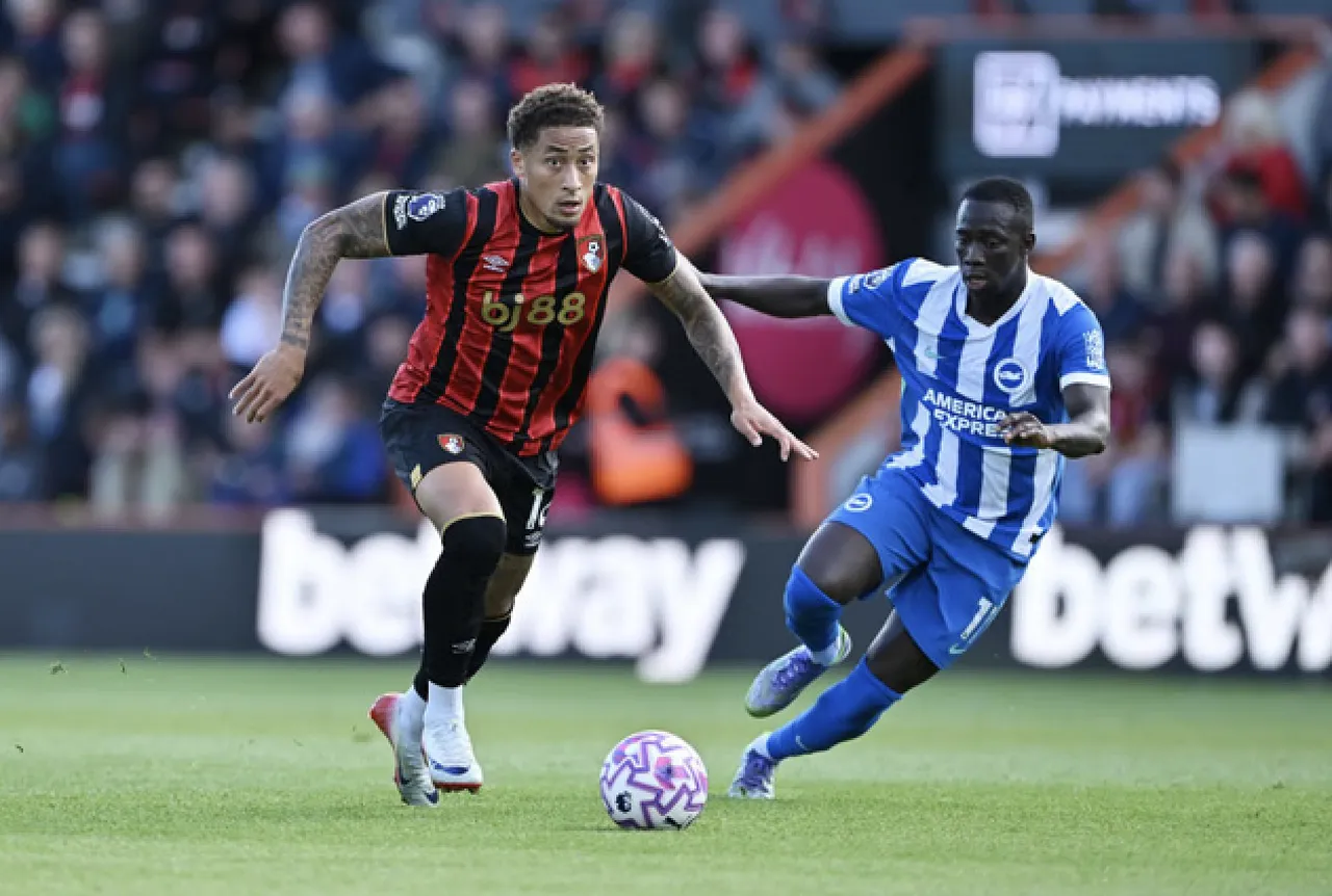 Brighton-Bournemouth maçı hangi kanalda, Ferdi Kadıoğlu oynayacak mı? Muhtemel ilk 11