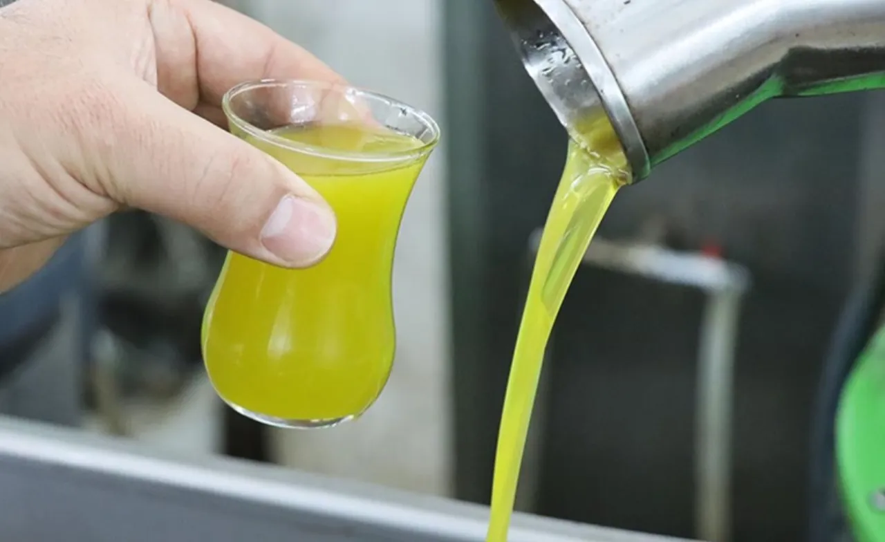 Değeri 3 milyon lira! 4 bin 200 litre sahte zeytinyağı ele geçirildi