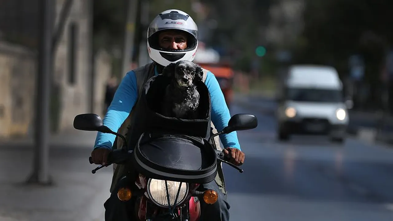 Kuryeler çalışıyor mu, kuryelere yasak geldi mi? 19 Ocak Valilik açıklamaları takip ediliyor
