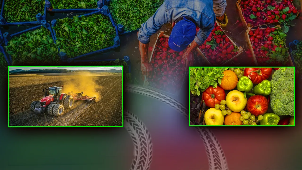 4 ilde başladı, 1 Temmuz’da 81 ile yayılacak, uygulamayana para cezası var