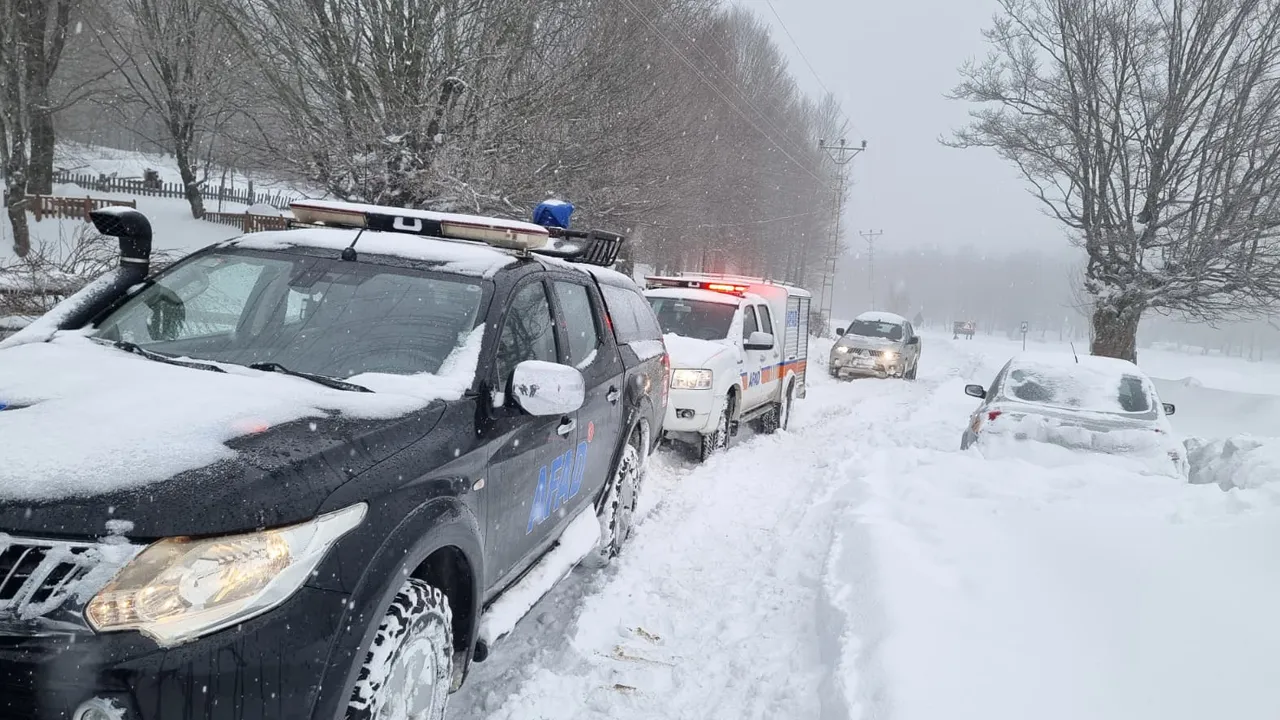 Yalova'da yaylada mahsur kaldılar, 6 saatte kurtarıldılar