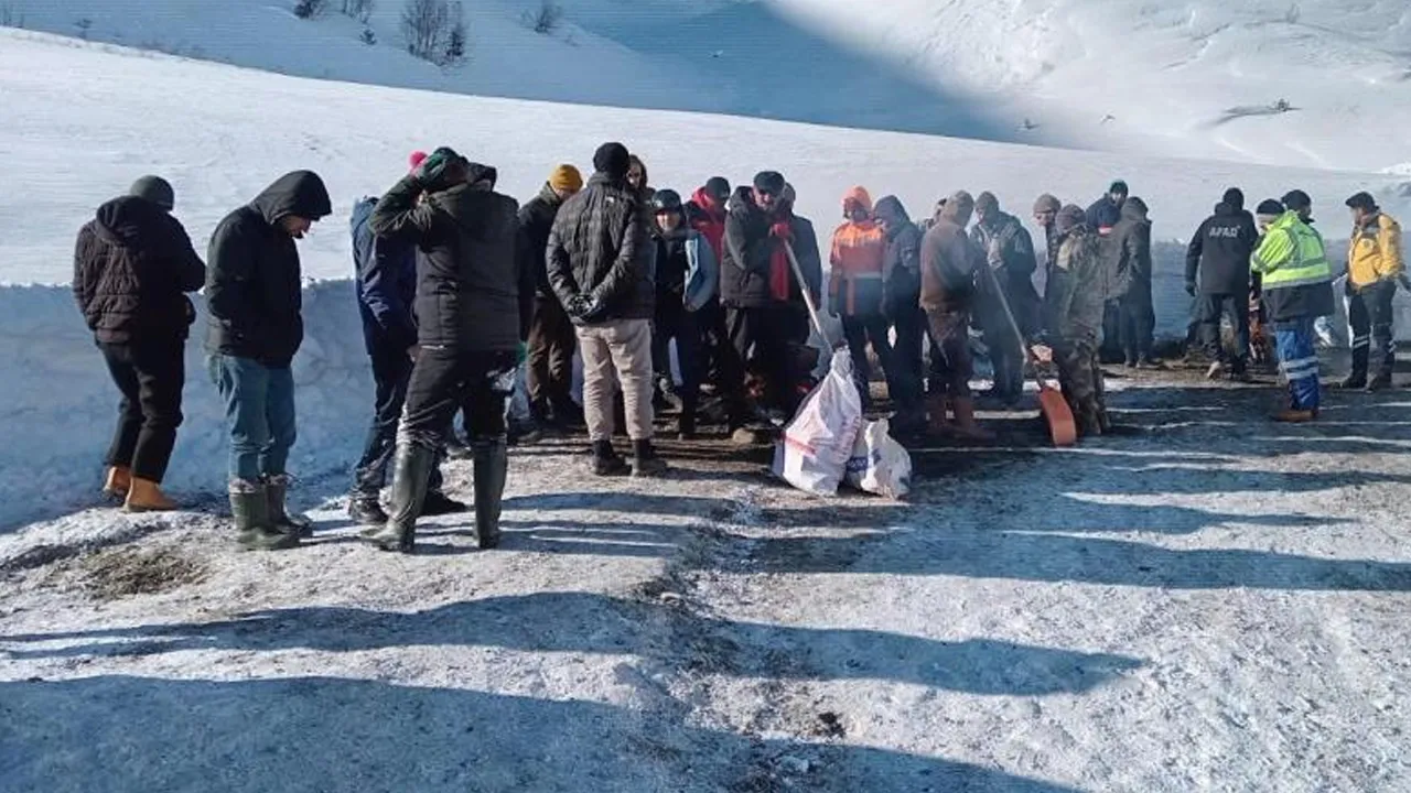 Artvin'de çığ felaketi! Kayıp çobanı 145 kişi arıyor