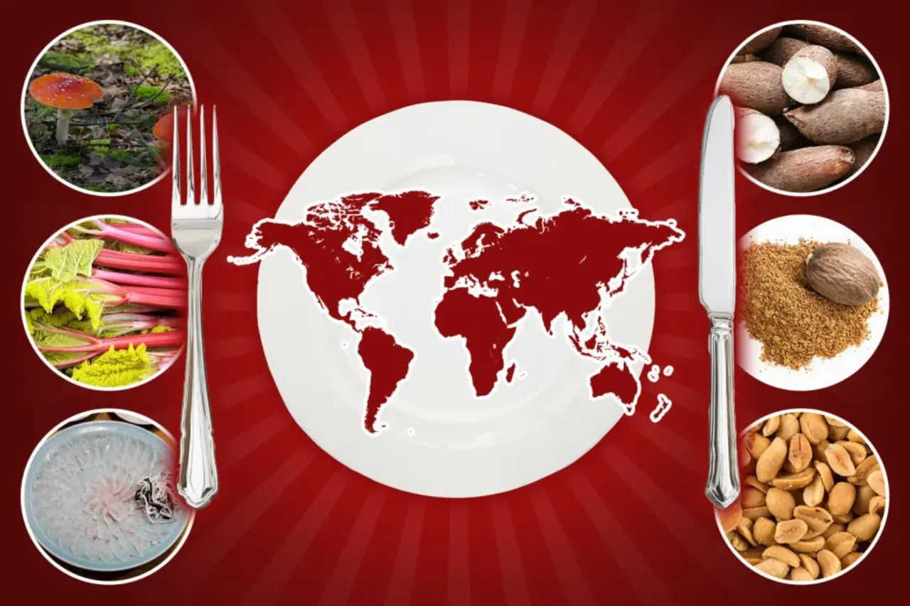 Bazıları tek lokmada bazıları 20 dakika öldürüyor! Dünyanın en tehlikeli yiyecekleri belli oldu 