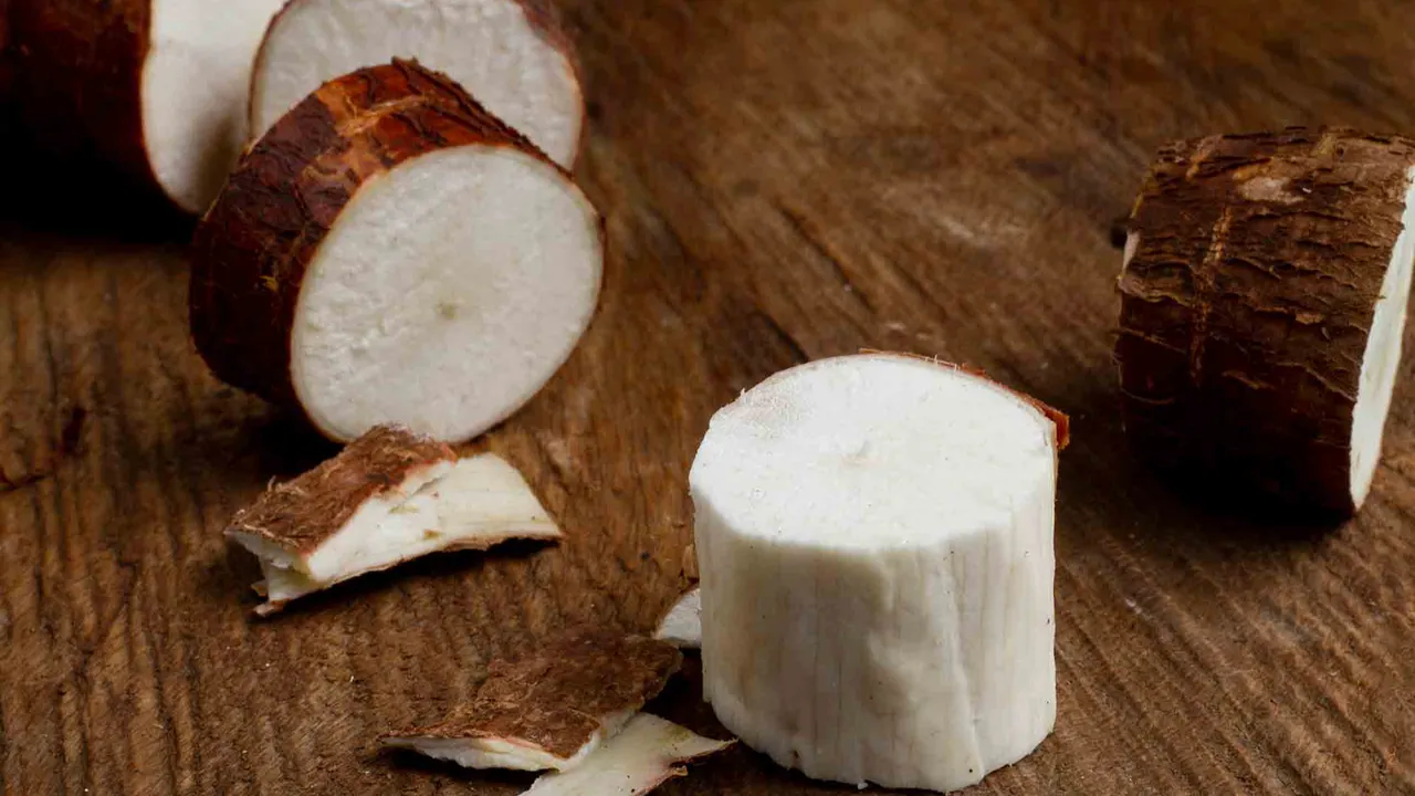 Bazıları tek lokmada, bazıları 20 dakikada öldürüyor! Dünyanın en tehlikeli yiyecekleri belli oldu