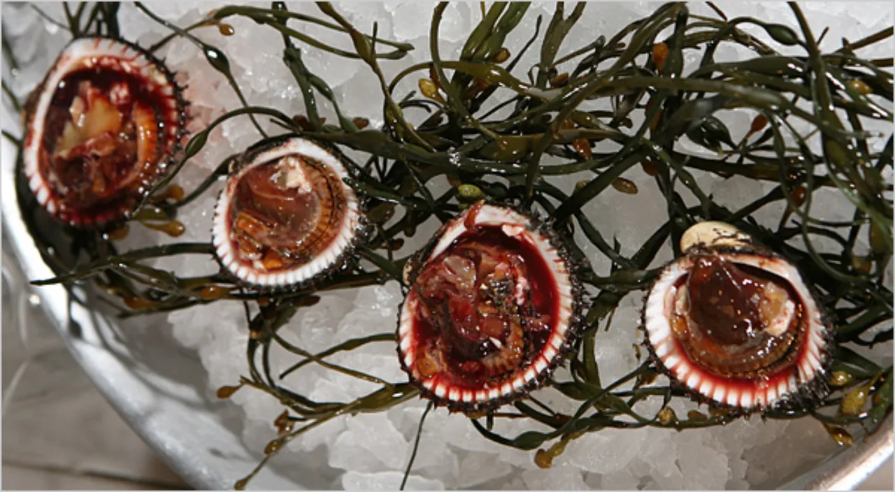 Bazıları tek lokmada, bazıları 20 dakikada öldürüyor! Dünyanın en tehlikeli yiyecekleri belli oldu
