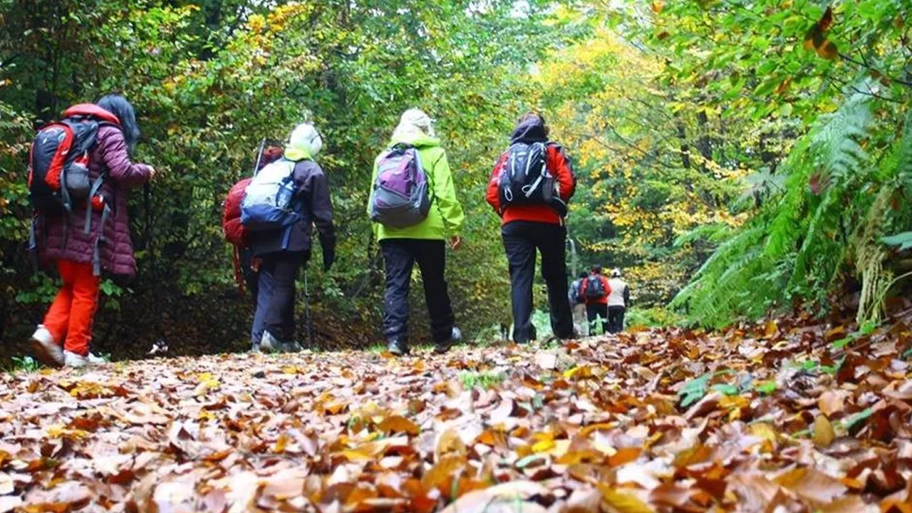 Doğa yürüyüşünde korkunç son! Puma saldırısı ölümle sonuçlandı
