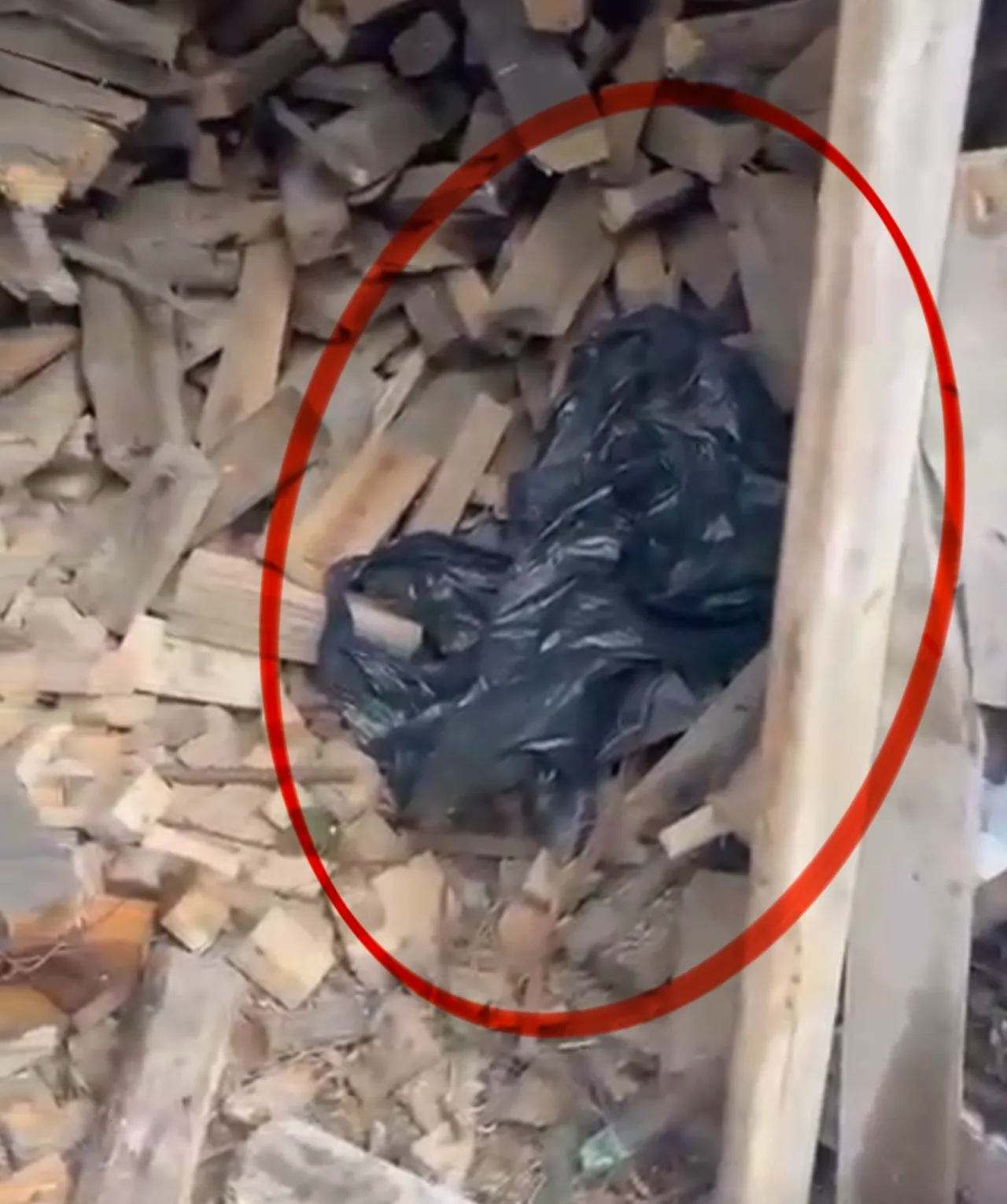 Eski kız arkadaşına uyuşturucu tuzağı kurdu! Gerçeği polis ortaya çıkardı