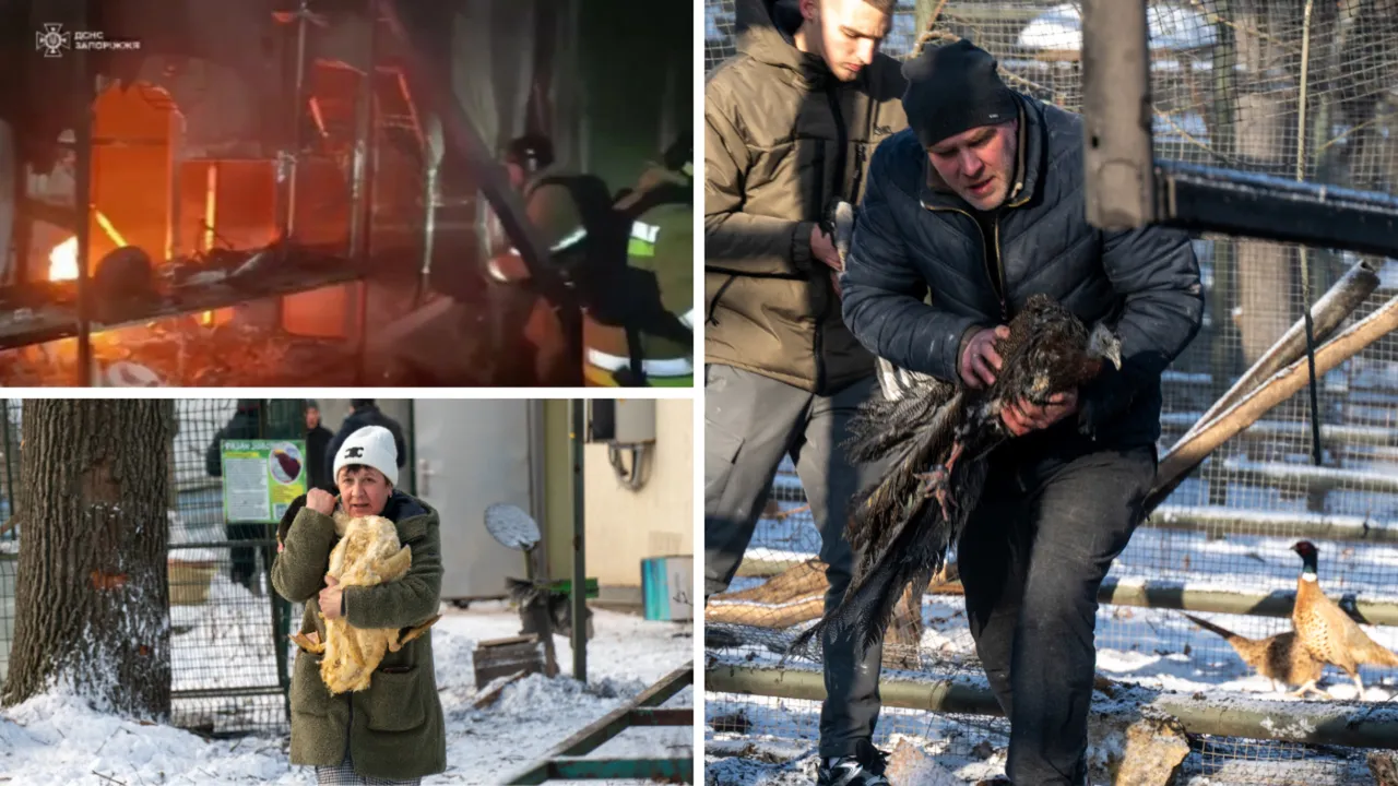 Rusya, Harkiv'de hayvanat bahçesini hedef aldı! Çok sayıda hayvan telef oldu