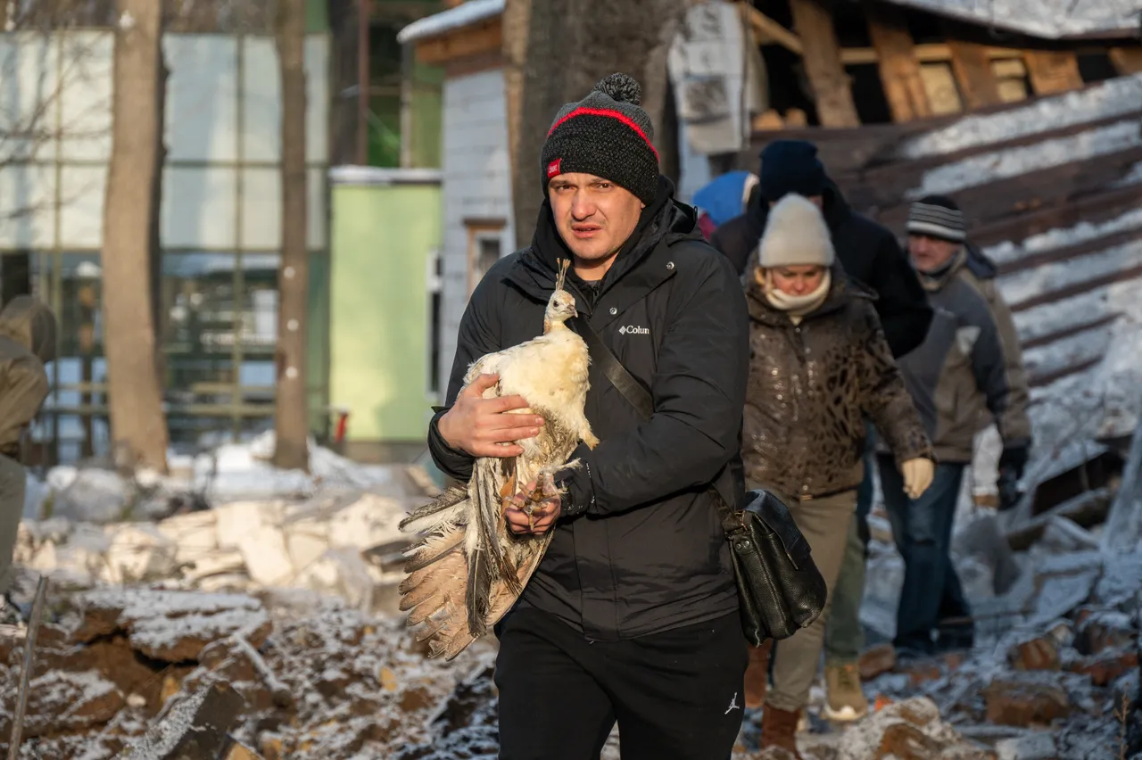 Rusya, Harkiv'de hayvanat bahçesini hedef aldı! Çok sayıda hayvan telef oldu