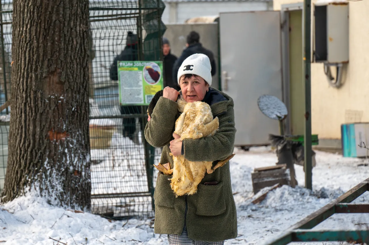 Rusya, Harkiv'de hayvanat bahçesini hedef aldı! Çok sayıda hayvan telef oldu