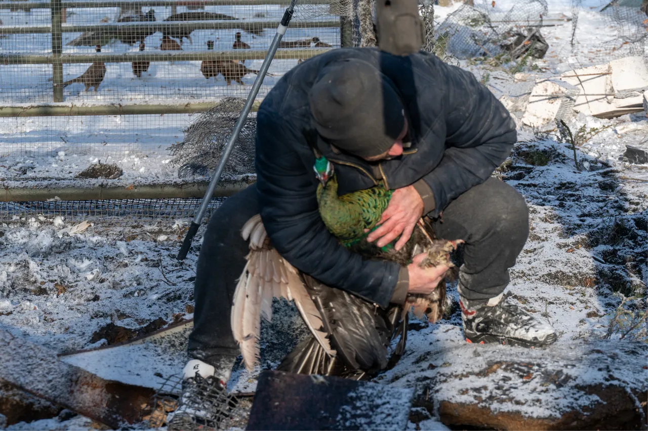 Rusya, Harkiv'de hayvanat bahçesini hedef aldı! Çok sayıda hayvan telef oldu