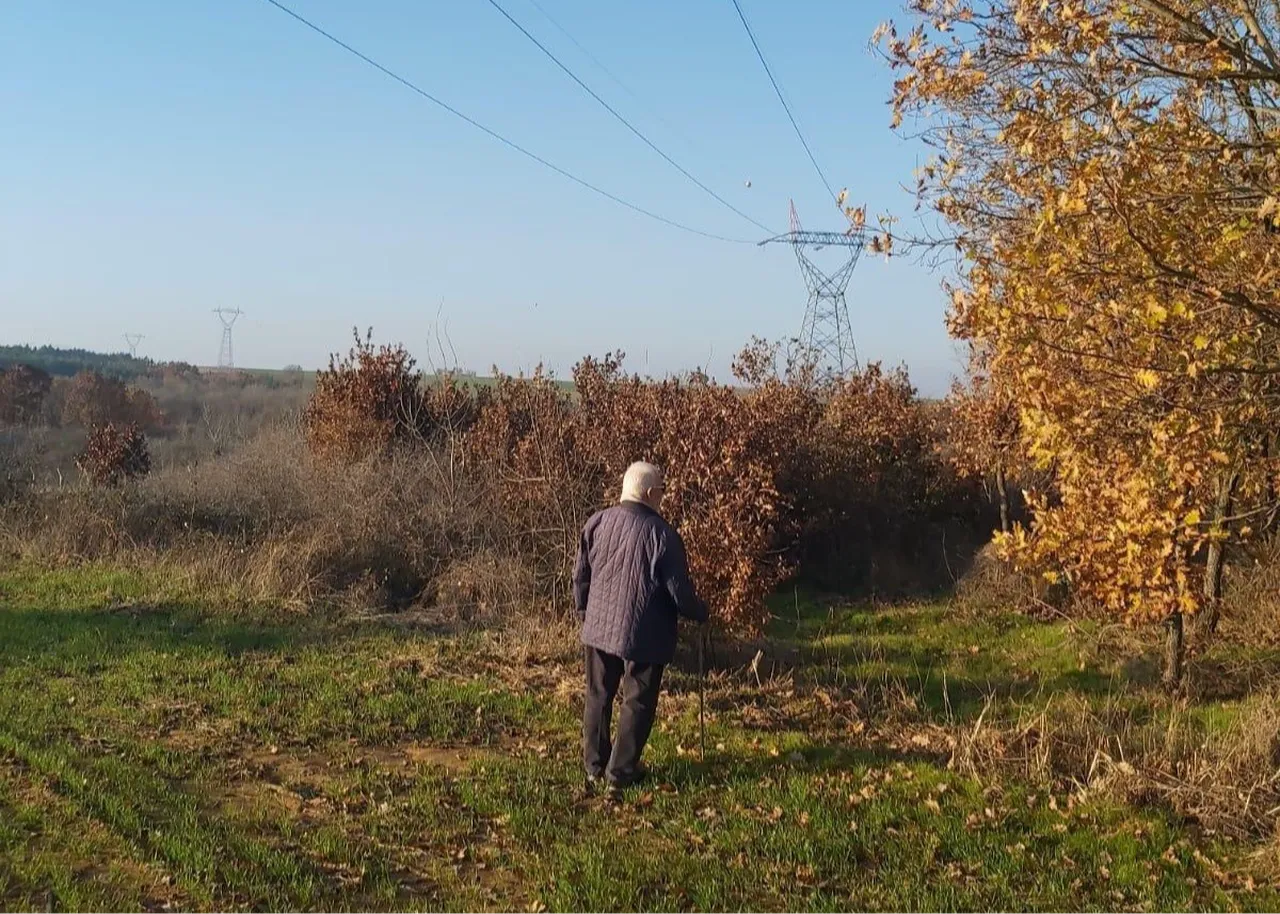 Vatandaşın mağduriyeti sona erecek! Yargıtaydan kamulaştırma davasında emsal karar
