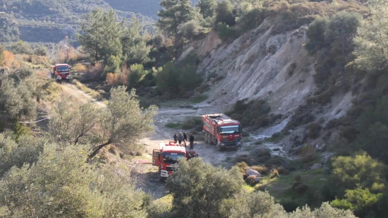 Antalya'daki orman yangınında zararın boyutu ortaya çıktı