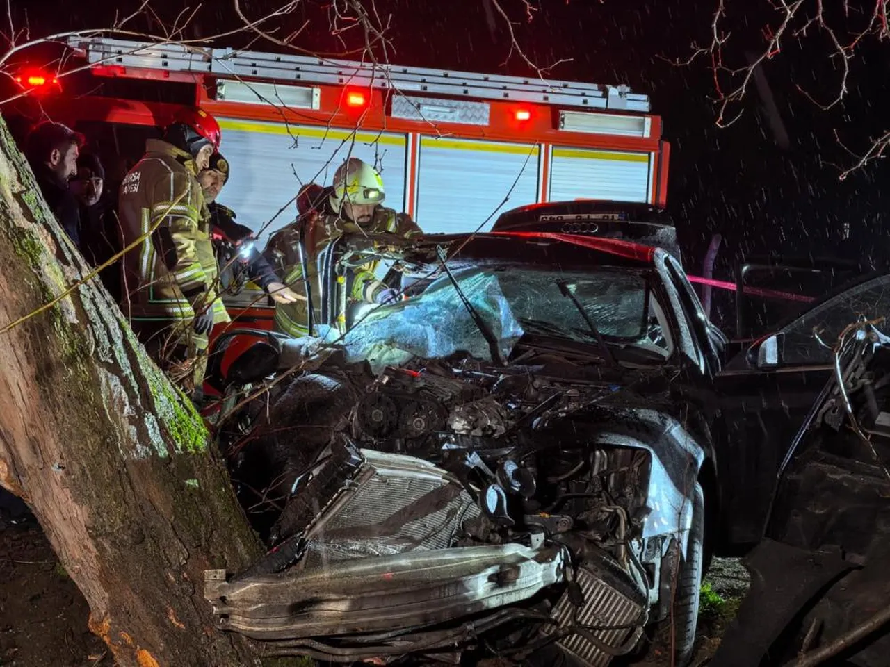 Bursa'da feci kaza! Araba ağaca çarptı, 2 genç kız canından oldu