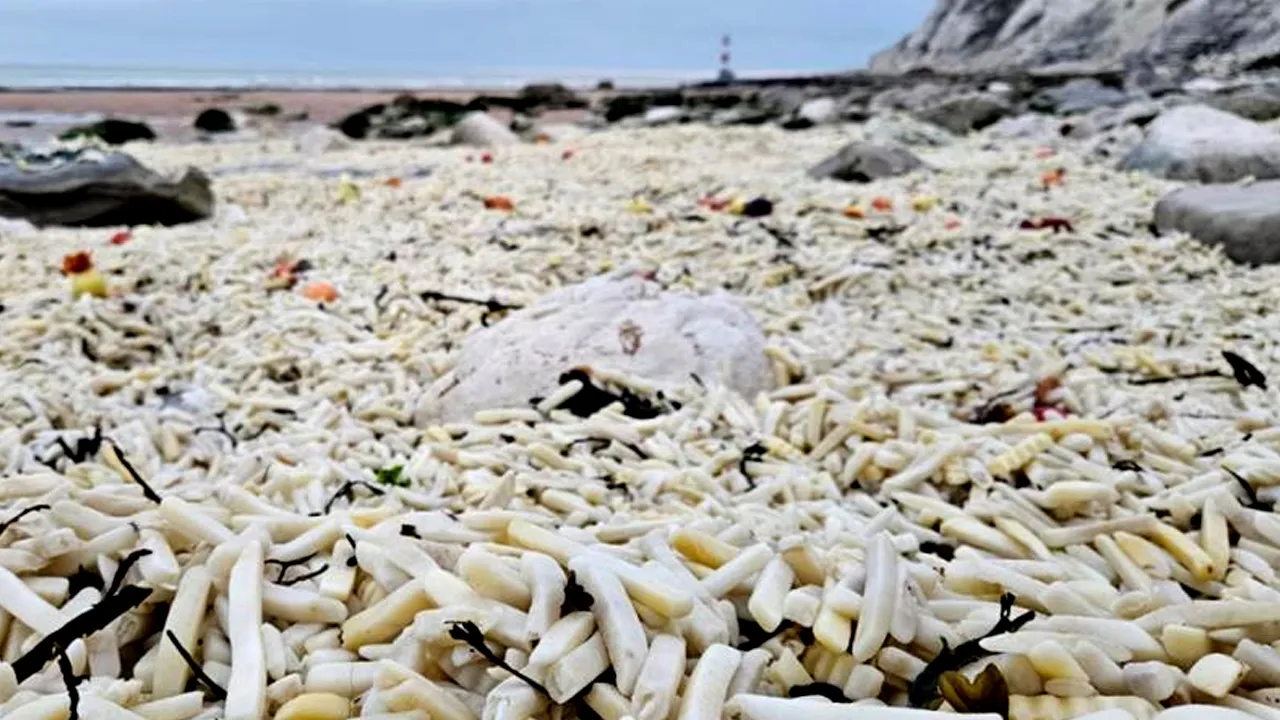 İngiltere sahillerinde şoke eden manzara! Derinliği 1,5 metre oldu, patates soğan doldu