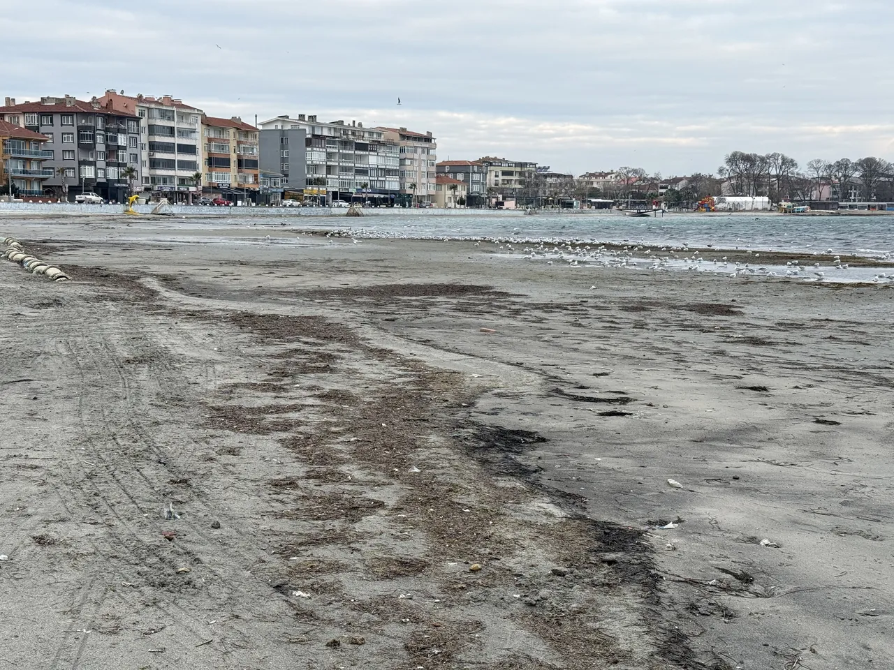 Tekirdağ'da deniz suyu çekildi, uzmanı nedenini açıkladı!